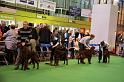 Crufts2010 966